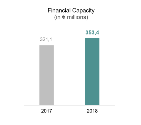 Financial capacity