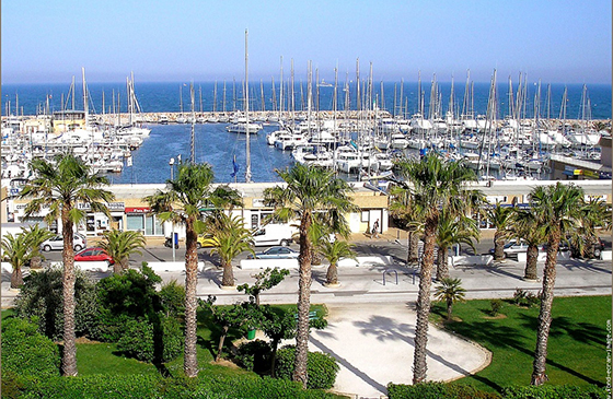 programme immobilier neuf les palmes dor - Kaufman & Broad