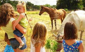 Vacances en France : visite des fermes et producteurs locaux - Kaufman & Broad