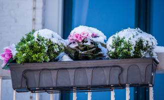 terrasse en hiver