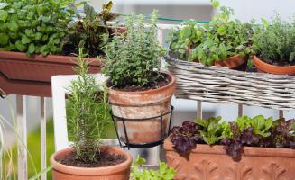 Balcons, terrasses et jardins - Kaufman & Broad