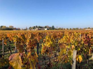 Programmes immobilier neufs Pessac - Kaufman & Broad