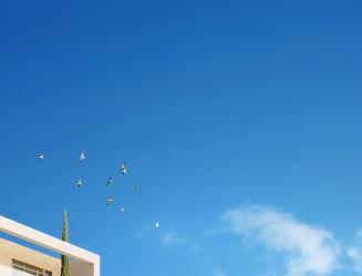 programme immobilier neuf forum des carmes - Kaufman & Broad