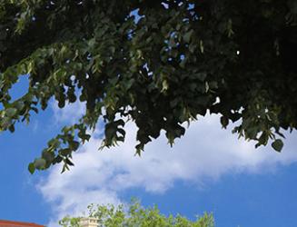 programme immobilier neuf green lodge ii maisons 2 - Kaufman & Broad