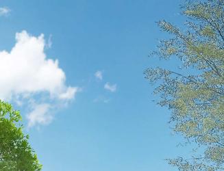 programme immobilier neuf Prochainement - Kaufman & Broad