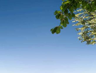 programme immobilier neuf Domaine des Chanterelles - Kaufman & Broad